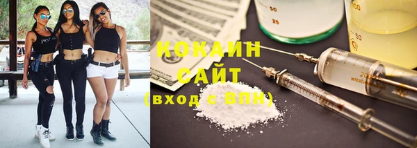 гидропоника Алзамай