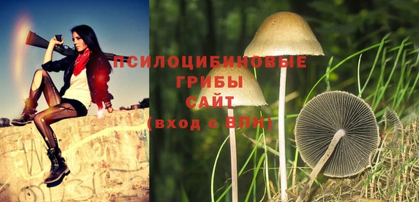 мескалин Алексин