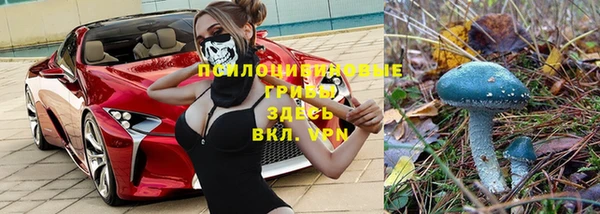 мескалин Алексин
