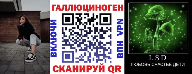 Галлюциногенные грибы Psilocybe  Фокино 